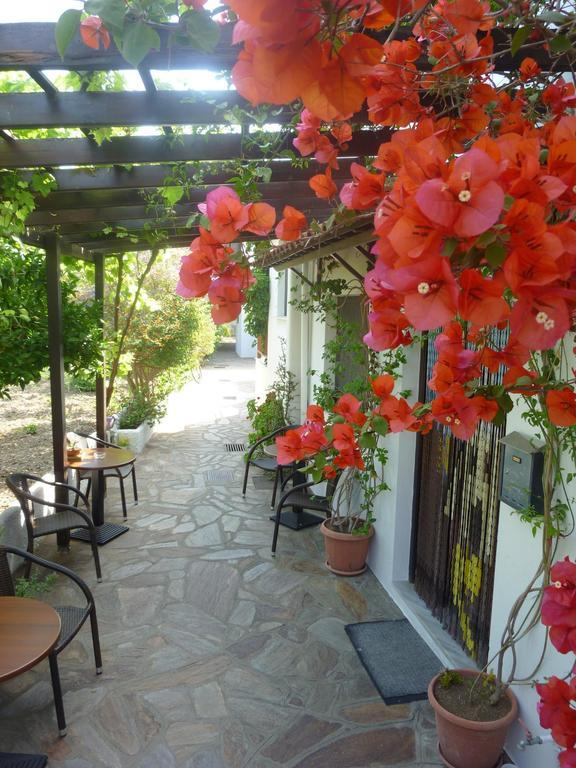 Hotel Golden Sun Kokkari Exterior foto